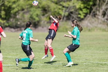 Bild 303 - F SG NieBar - IF Stjernen Flensborg : Ergebnis: 2:0